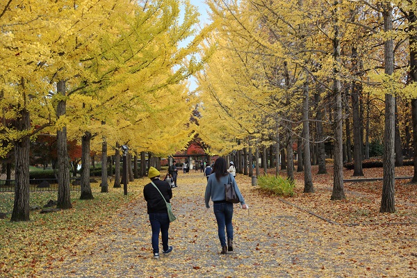 山形県総合運動公園