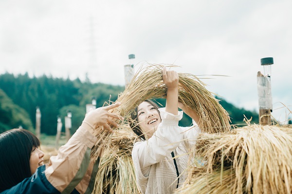 大蕨の棚田