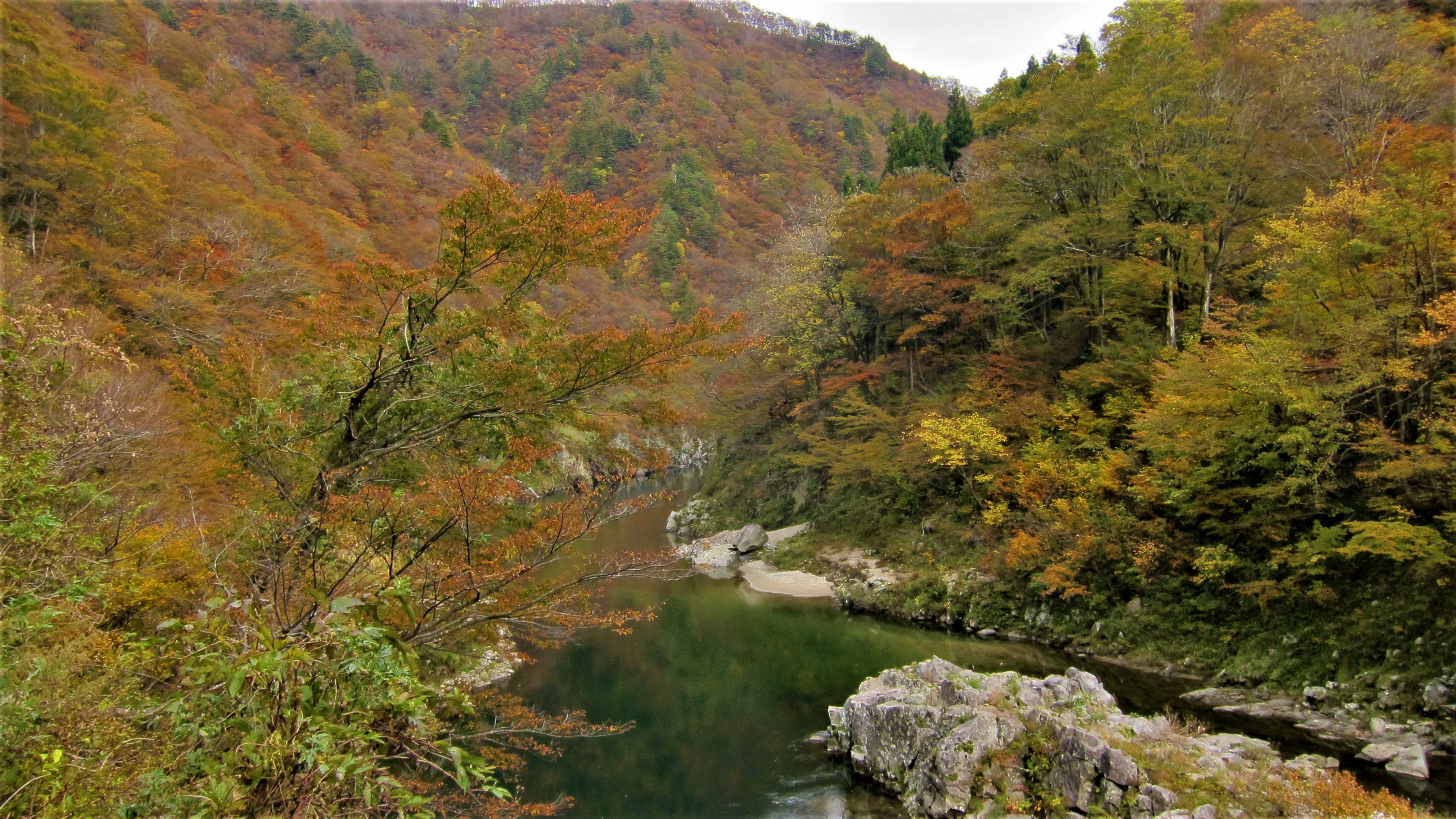 赤芝峡