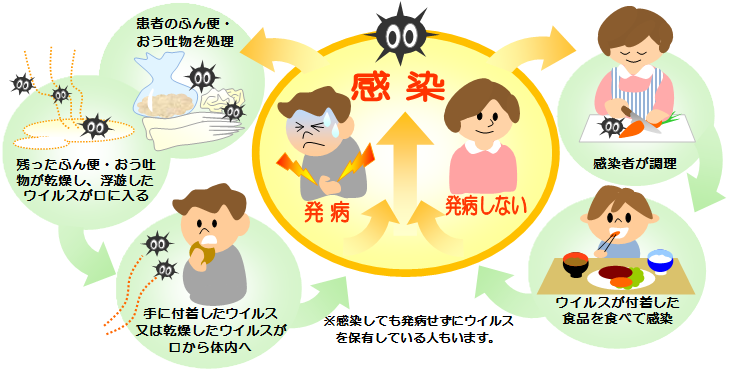 ノロウイルスの感染経路イラスト