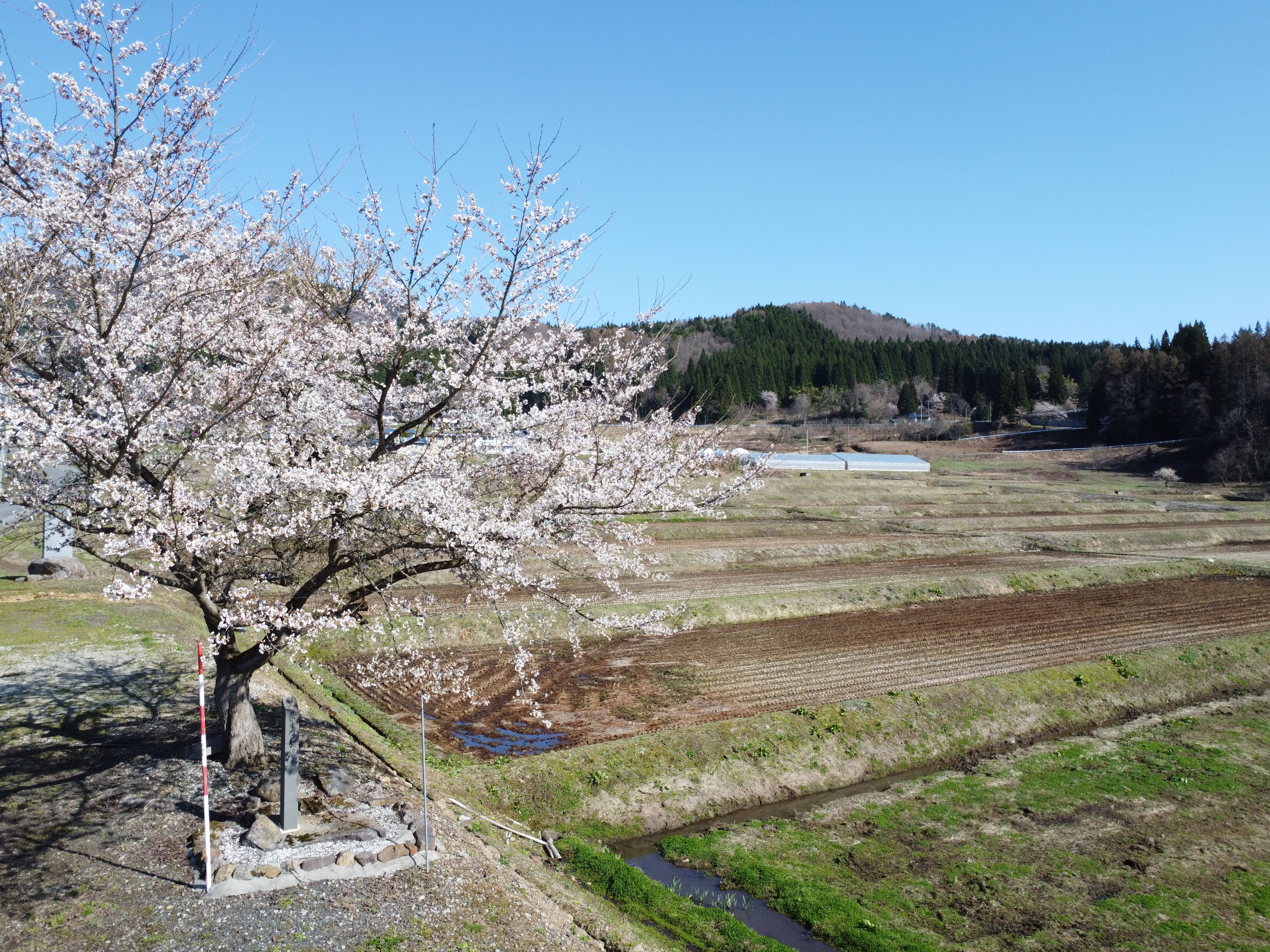 中山の棚田（白鷹町中山）