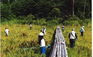 熊野長峰2