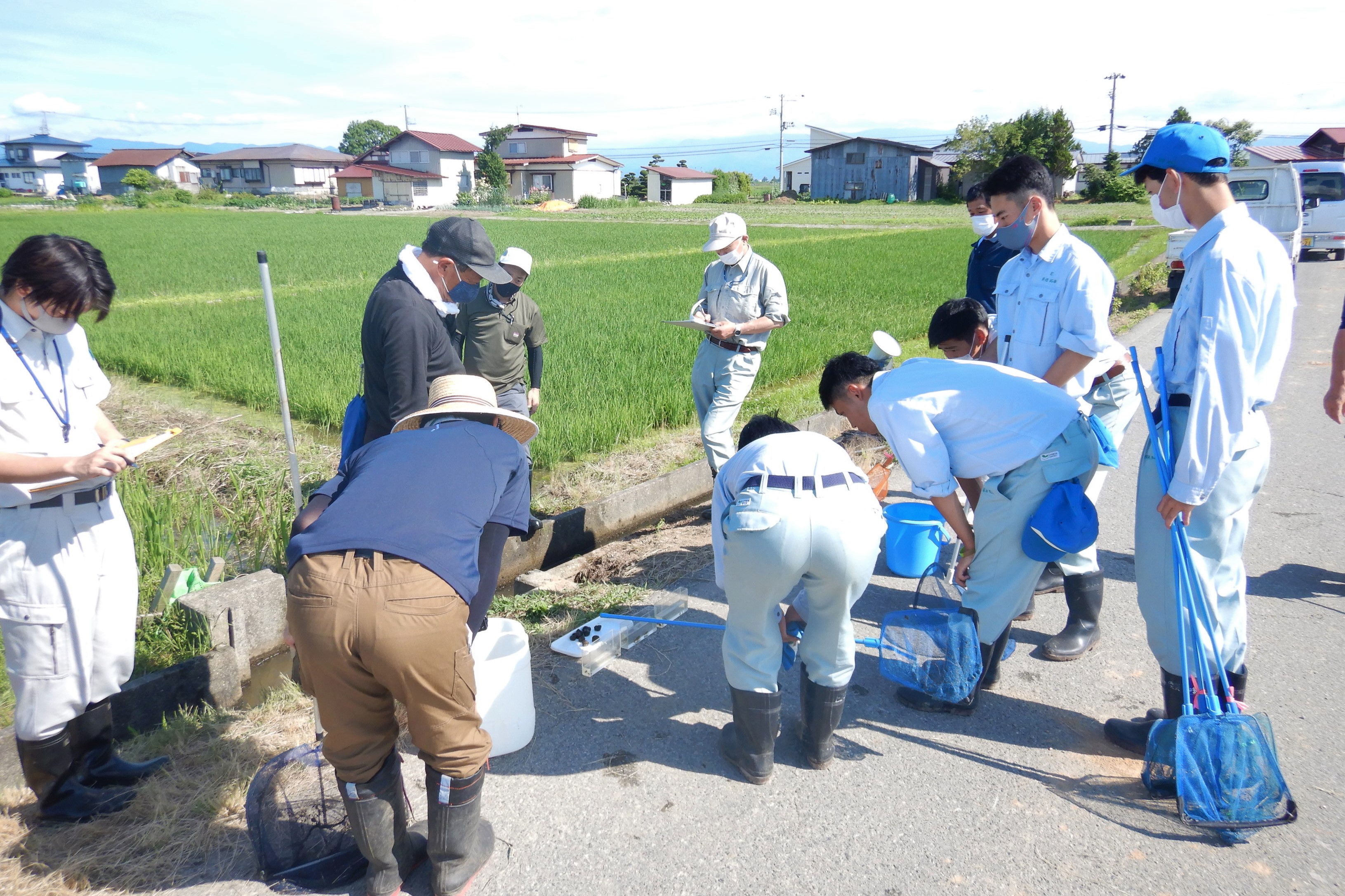 生き物調査の様子