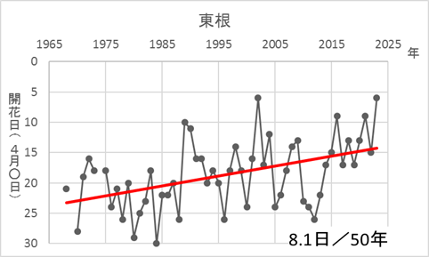 東根