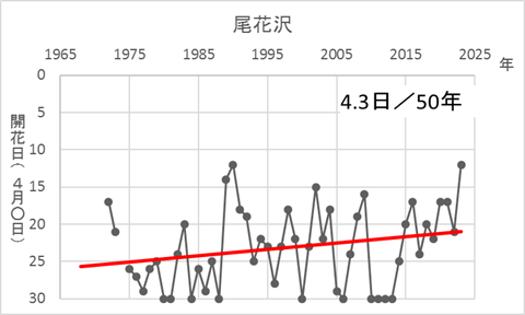 尾花沢