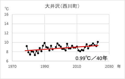 大井沢