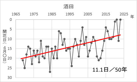 酒田