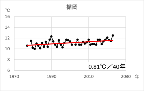 楯岡