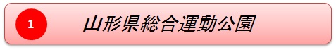 山形県総合運動公園名