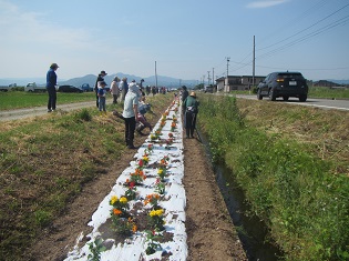 馬町手づくり花壇02