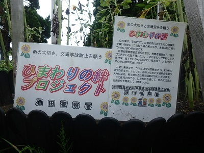 himawari2