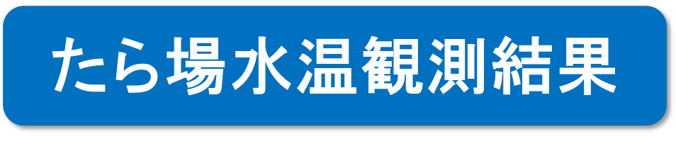 たら場水温観測結果