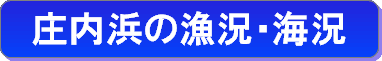 庄内浜の漁況・海況