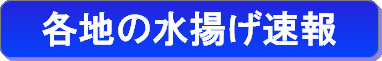 各地の水揚げ速報