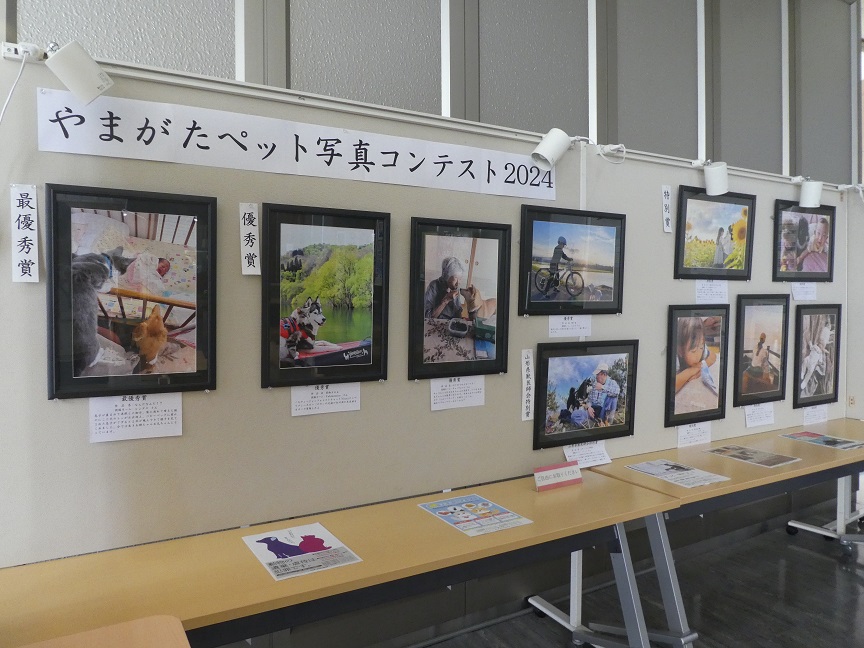 動物愛護と適正飼養パネル展示1