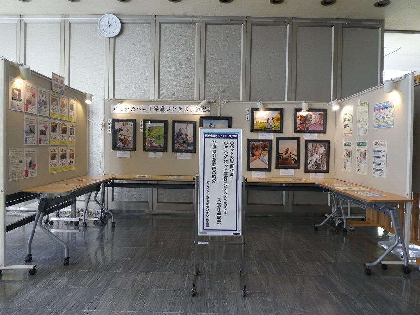 動物愛護と適正飼養パネル展示2