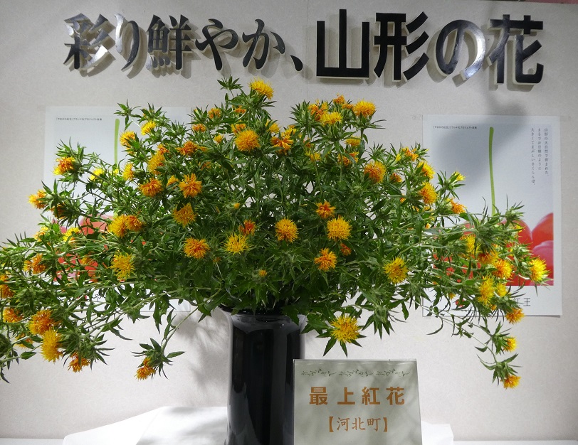 常設展示紅花