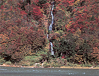 最上地域：白糸の滝